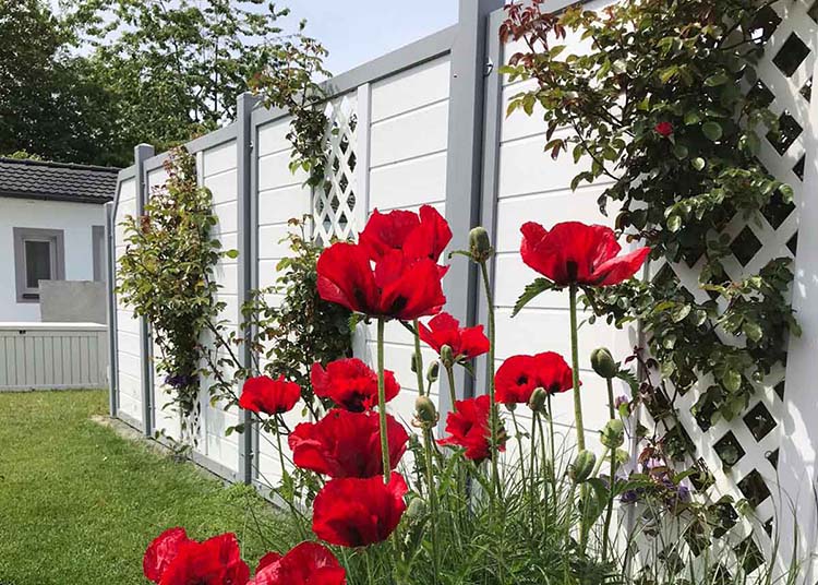 Sichtschutzzaun im Rosen-Garten | Sichtschutzideen