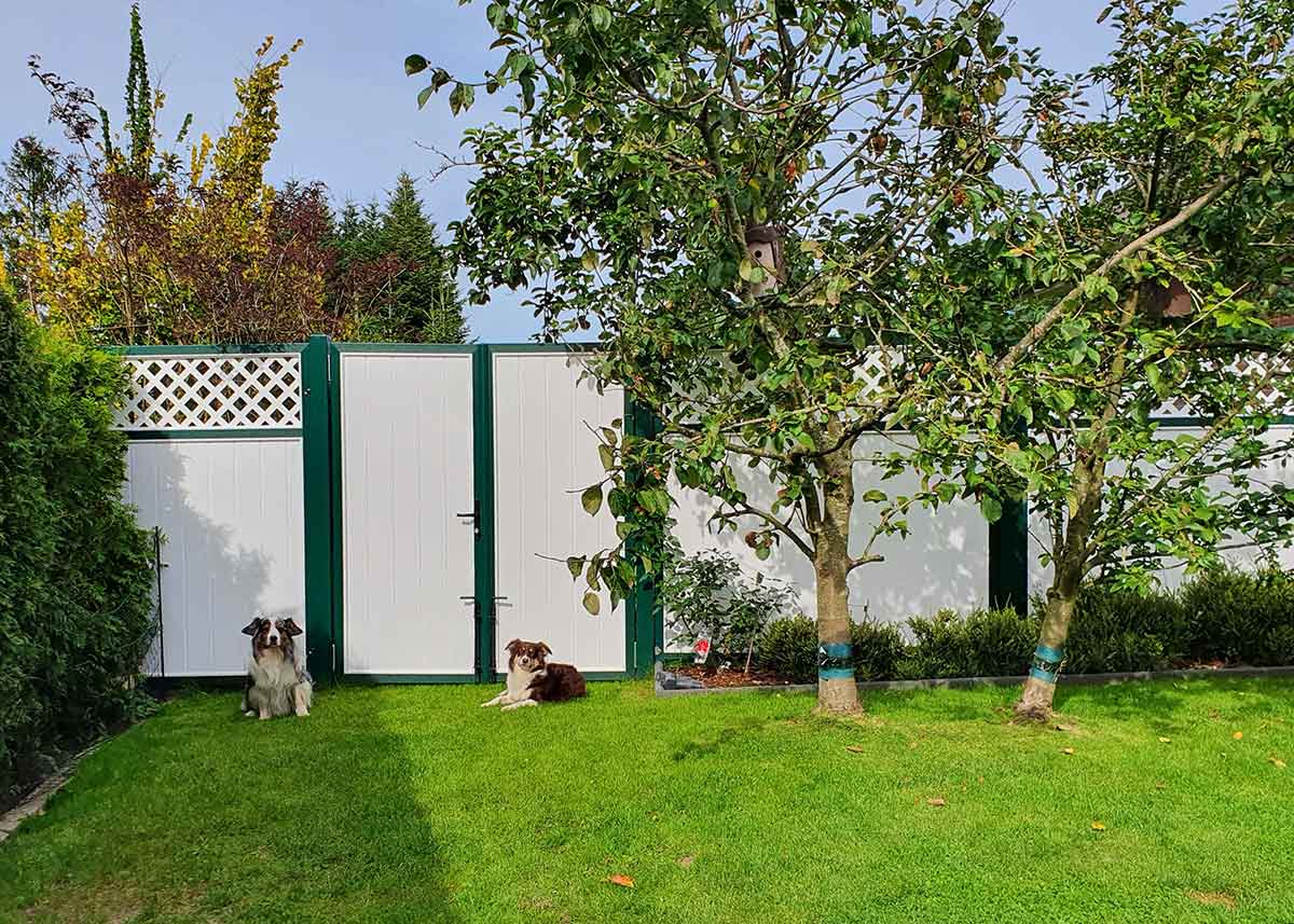 Sichtschutzwand im Garten in Weiß und moosgrüner Umrahmung mit Rankgitter und passender Tür Doppeltor