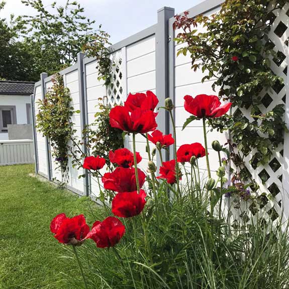 Sichtschutzzaun mit Rankgitter in weiß grau aus Kunststoff im Garten romantisch landhausstil