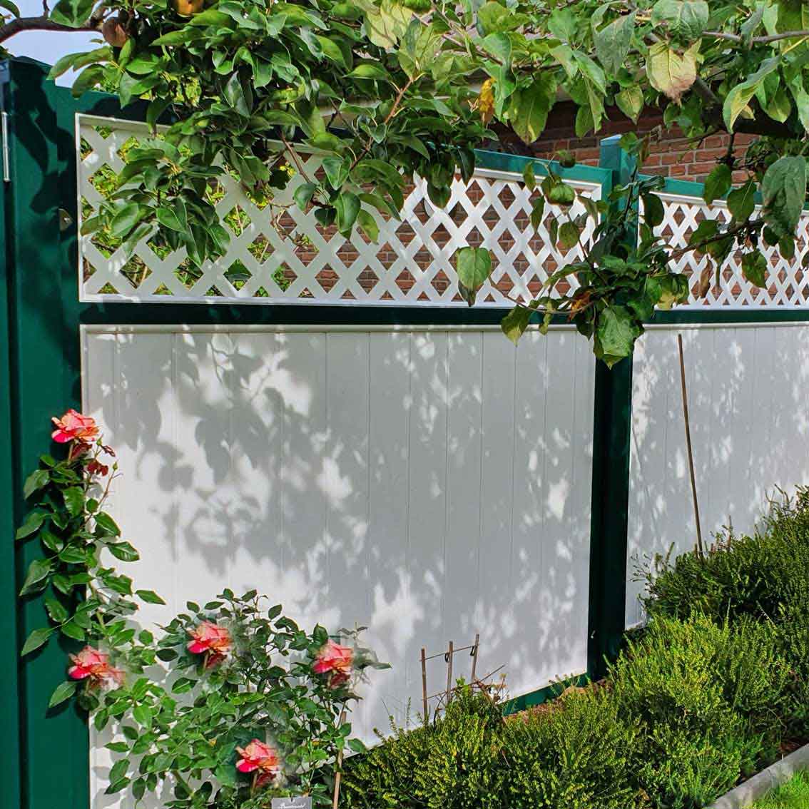 Sichtschutzzaun aus Kunststoff PVC in Weiß mit Rankgitter und einer moosgrünen Umrahmung im Garten
