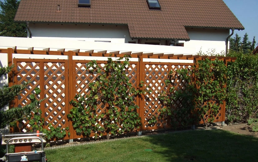 KunststoffRankgitter mit natürlichem Sichtschutz