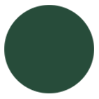 Farbe Moosgrün / Grün als Kunststoffbrett aus hochwertigen Kunststoff / PVC