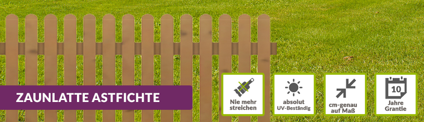 Astfichte